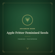 Apple Fritter Feminised Seeds Apple Fritter Feminised Seeds