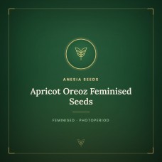 Apricot Oreoz Feminised Seeds Apricot Oreoz Feminised Seeds