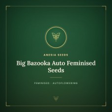 Big Bazooka Auto Feminised Seeds Big Bazooka Auto Feminised Seeds