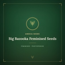 Big Bazooka Feminised Seeds Big Bazooka Feminised Seeds