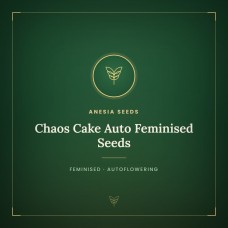 Chaos Cake Auto Feminised Seeds Chaos Cake Auto Feminised Seeds