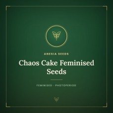 Chaos Cake Feminised Seeds Chaos Cake Feminised Seeds