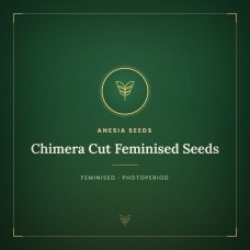 Chimera Cut Feminised Seeds Chimera Cut Feminised Seeds