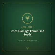 Core Damage Feminised Seeds Core Damage Feminised Seeds