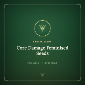 Core Damage Feminised Seeds Core Damage Feminised Seeds