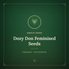 Dozy Don Feminised Seeds