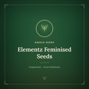 Elementz Feminised Seeds