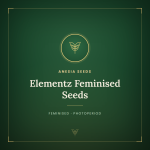 Elementz Feminised Seeds