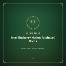 Free Blueberry Nation Feminised Seeds