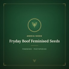 Fryday Boof Feminised Seeds Fryday Boof Feminised Seeds