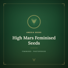 High Mars Feminised Seeds High Mars Feminised Seeds