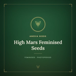 High Mars Feminised Seeds High Mars Feminised Seeds