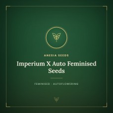 Imperium X Auto Feminised Seeds Imperium X Auto Feminised Seeds