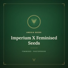 Imperium X Feminised Seeds Imperium X Feminised Seeds