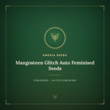 Mangosteen Glitch Auto Feminised Seeds