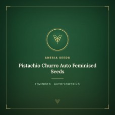Pistachio Churro Auto Feminised Seeds