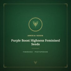 Purple Boost Highness Feminised Seeds Purple Boost Highness Feminised Seeds