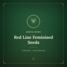Red Line Feminised Seeds Red Line Feminised Seeds