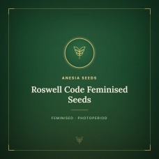Roswell Code Feminised Seeds Roswell Code Feminised Seeds