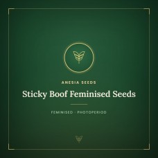Sticky Boof Feminised Seeds Sticky Boof Feminised Seeds