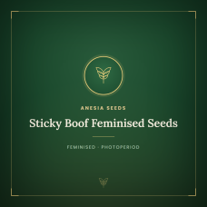 Sticky Boof Feminised Seeds Sticky Boof Feminised Seeds