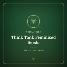Think Tank Feminised Seeds Think Tank Feminised Seeds