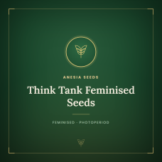 Think Tank Feminised Seeds Think Tank Feminised Seeds