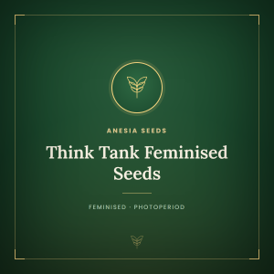 Think Tank Feminised Seeds Think Tank Feminised Seeds