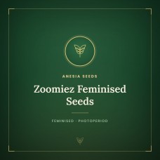 Zoomiez Feminised Seeds Zoomiez Feminised Seeds