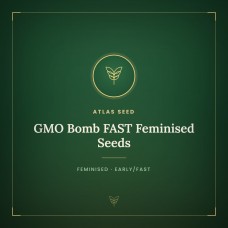 GMO Bomb FAST Feminised Seeds GMO Bomb FAST Feminised Seeds