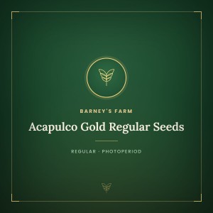 Acapulco Gold Regular Seeds