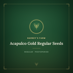 Acapulco Gold Regular Seeds Acapulco Gold Regular Seeds