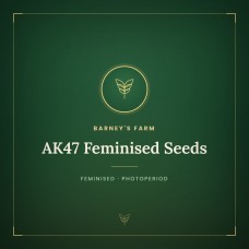 AK47 Feminised Seeds