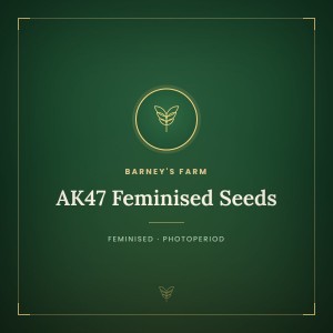 AK47 Feminised Seeds