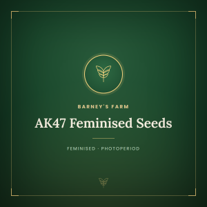 AK47 Feminised Seeds AK47 Feminised Seeds