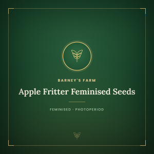 Apple Fritter Feminised Seeds