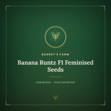 Banana Runtz F1 Feminised Seeds