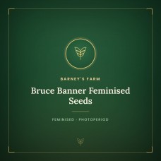 Bruce Banner Feminised Seeds