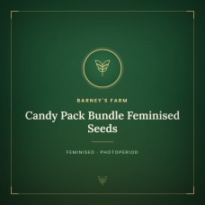 Candy Pack Bundle Feminised Seeds Candy Pack Bundle Feminised Seeds