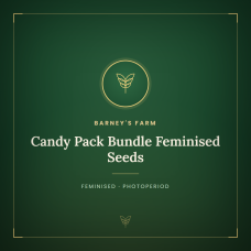 Candy Pack Bundle Feminised Seeds Candy Pack Bundle Feminised Seeds