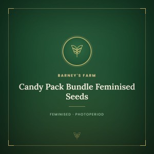 Candy Pack Bundle Feminised Seeds Candy Pack Bundle Feminised Seeds