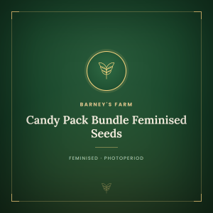 Candy Pack Bundle Feminised Seeds Candy Pack Bundle Feminised Seeds