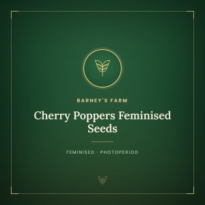 Cherry Poppers Feminised Seeds Cherry Poppers Feminised Seeds