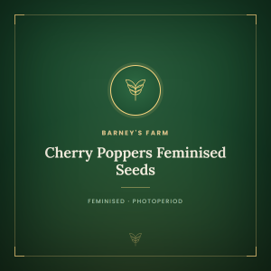Cherry Poppers Feminised Seeds Cherry Poppers Feminised Seeds