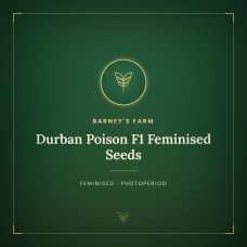Durban Poison F1 Feminised Seeds