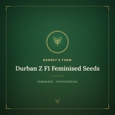 Durban Z F1 Feminised Seeds