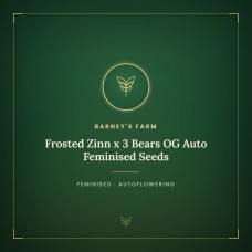 Frosted Zinn x 3 Bears OG Auto Feminised Seeds Frosted Zinn x 3 Bears OG Auto Feminised Seeds