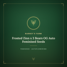 Frosted Zinn x 3 Bears OG Auto Feminised Seeds Frosted Zinn x 3 Bears OG Auto Feminised Seeds