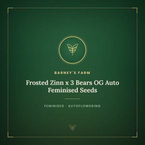 Frosted Zinn x 3 Bears OG Auto Feminised Seeds Frosted Zinn x 3 Bears OG Auto Feminised Seeds