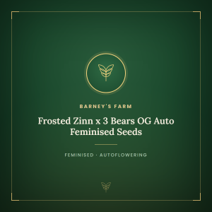 Frosted Zinn x 3 Bears OG Auto Feminised Seeds Frosted Zinn x 3 Bears OG Auto Feminised Seeds